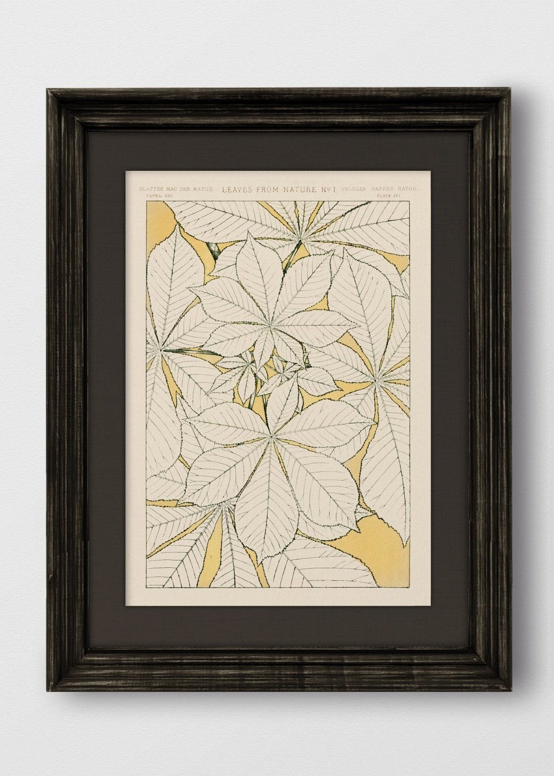 VINTAGE NEGRO LINO NEGRO