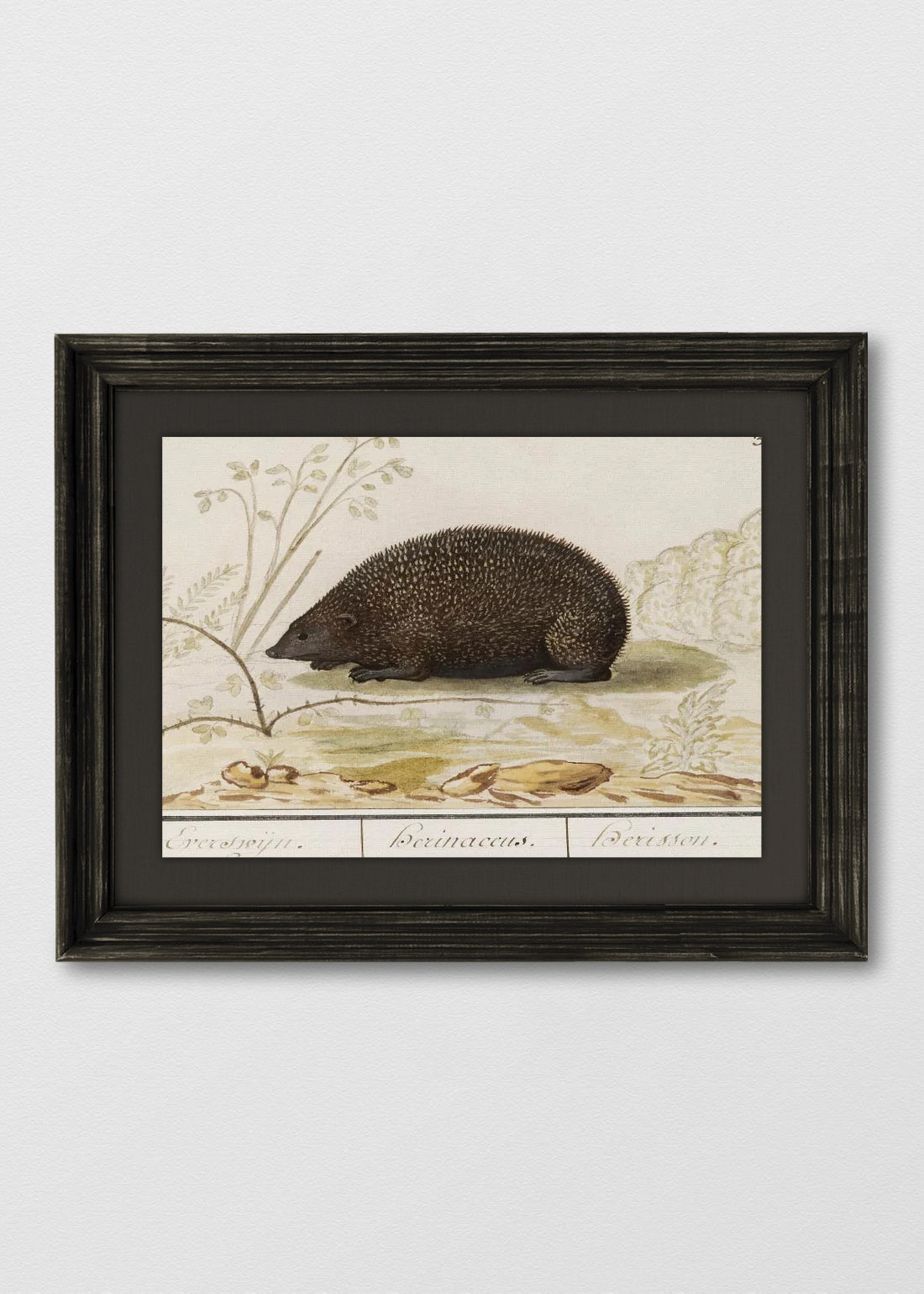 VINTAGE NEGRO LINO NEGRO