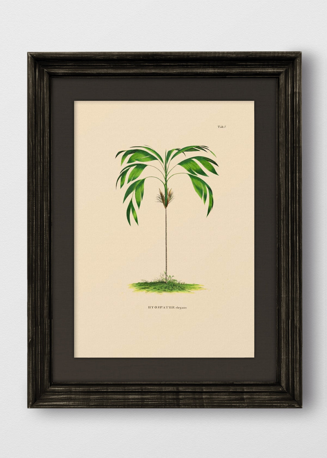 VINTAGE NEGRO LINO NEGRO