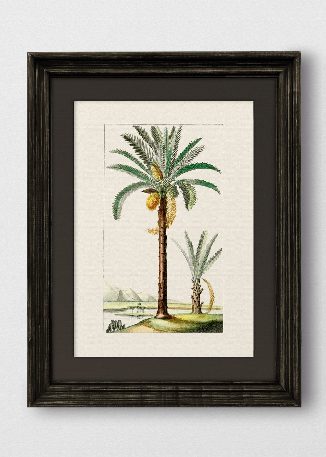 VINTAGE NEGRO LINO NEGRO
