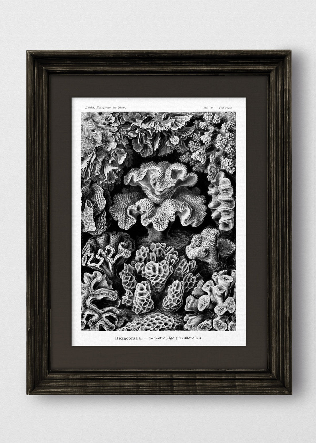 VINTAGE NEGRO LINO NEGRO