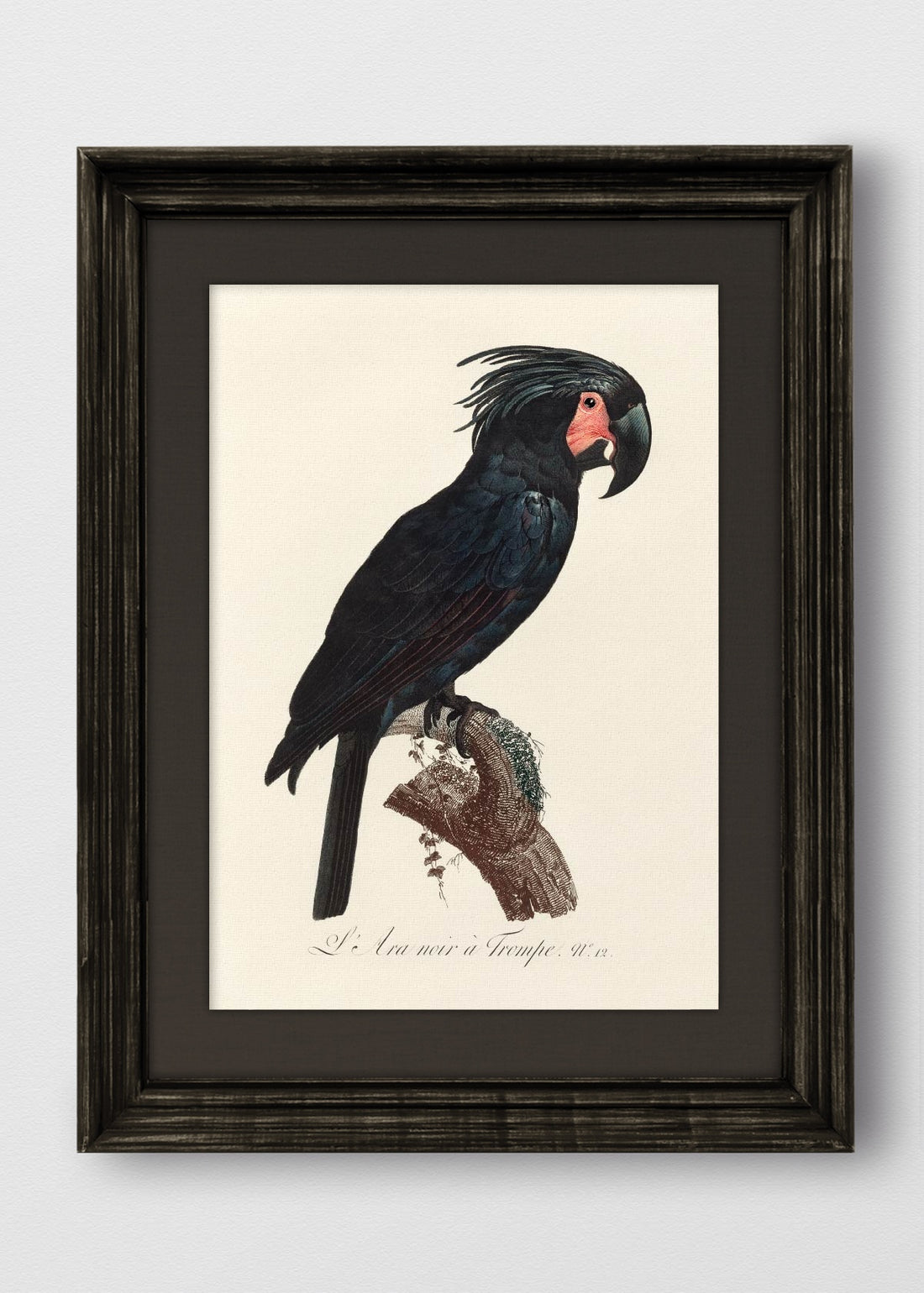 VINTAGE NEGRO LINO NEGRO