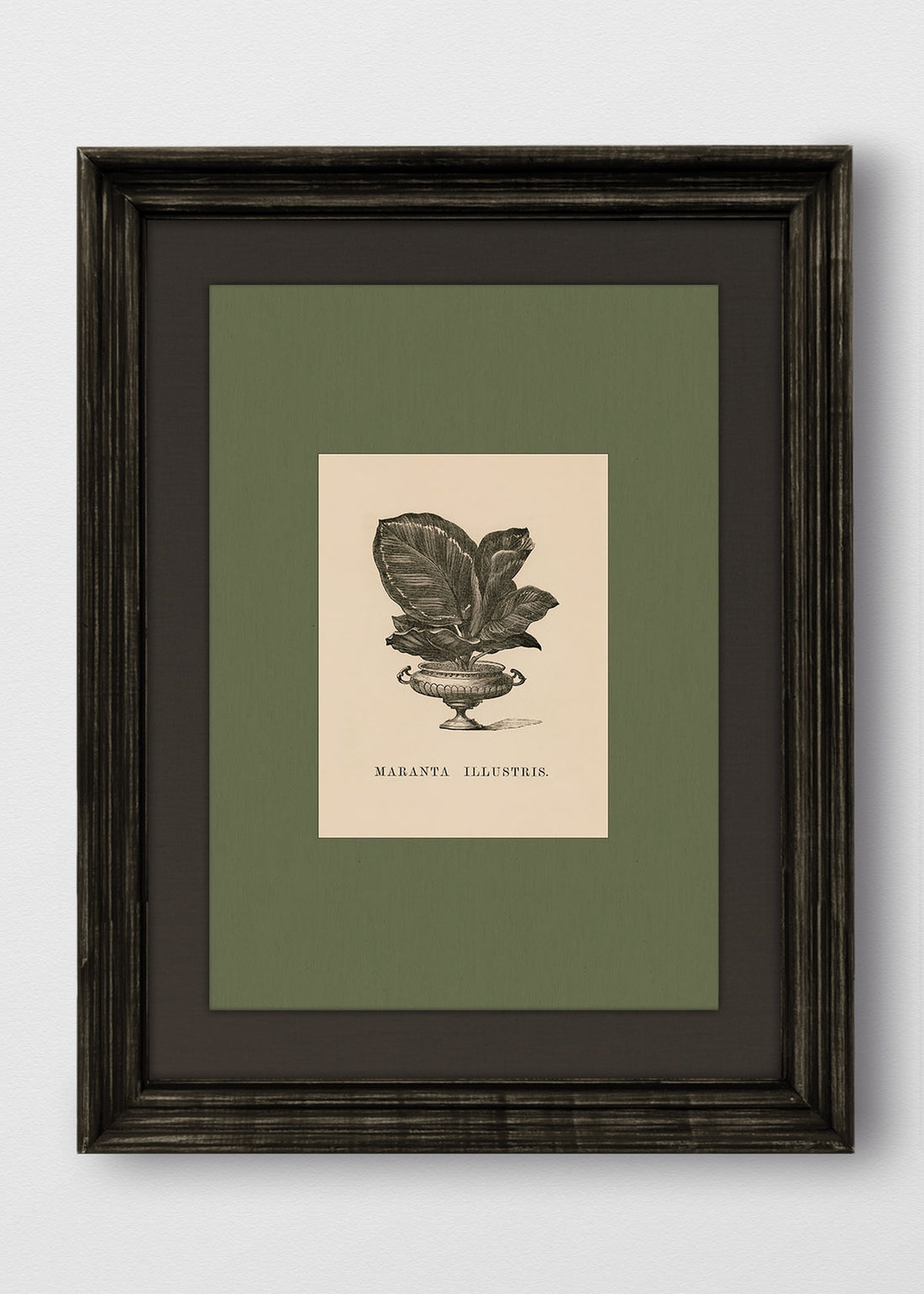VINTAGE NEGRO LINO NEGRO
