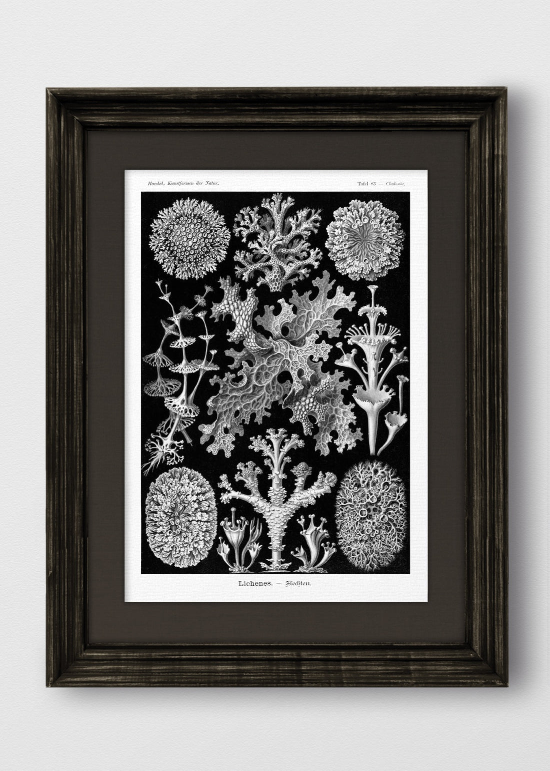 VINTAGE NEGRO LINO NEGRO