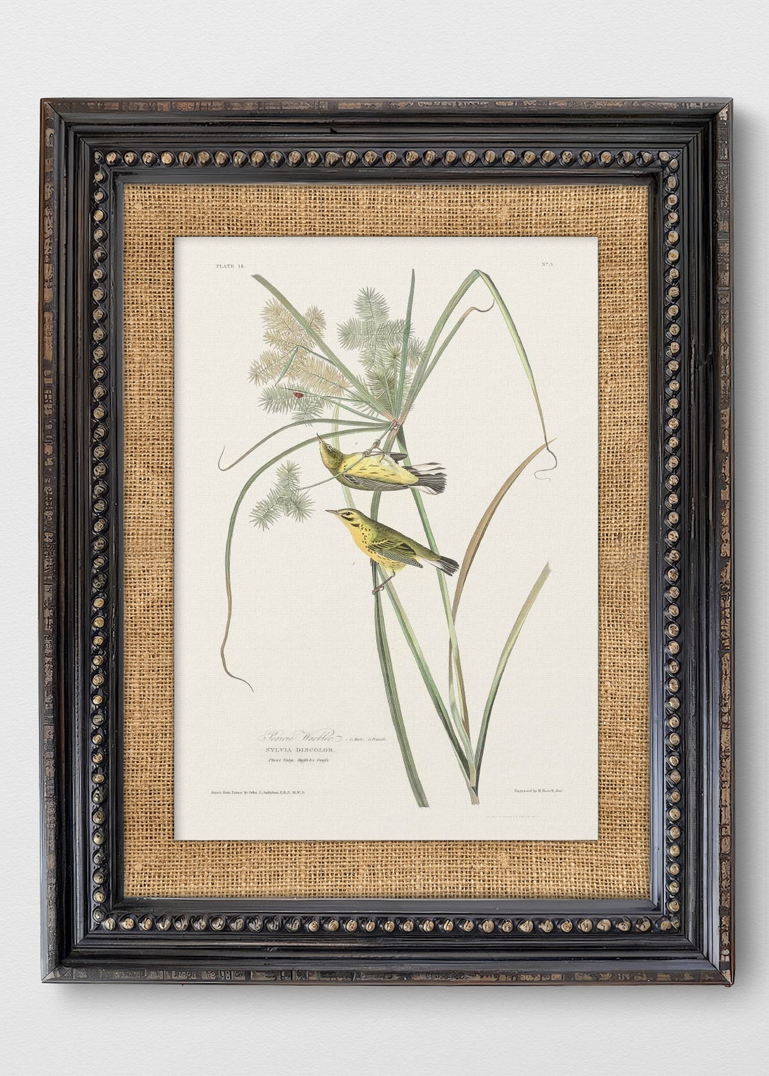VINTAGE PERLAS ARPILLERA