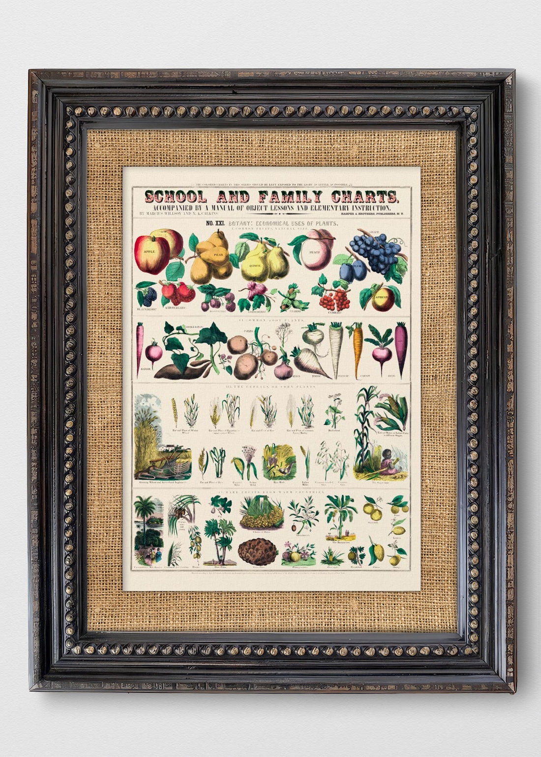 VINTAGE PERLAS ARPILLERA