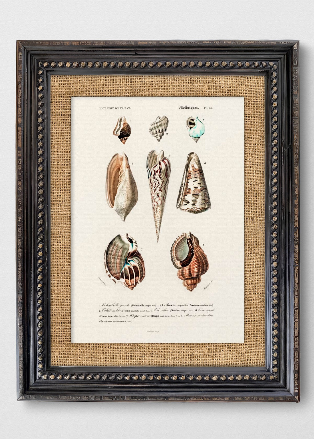 VINTAGE PERLAS ARPILLERA