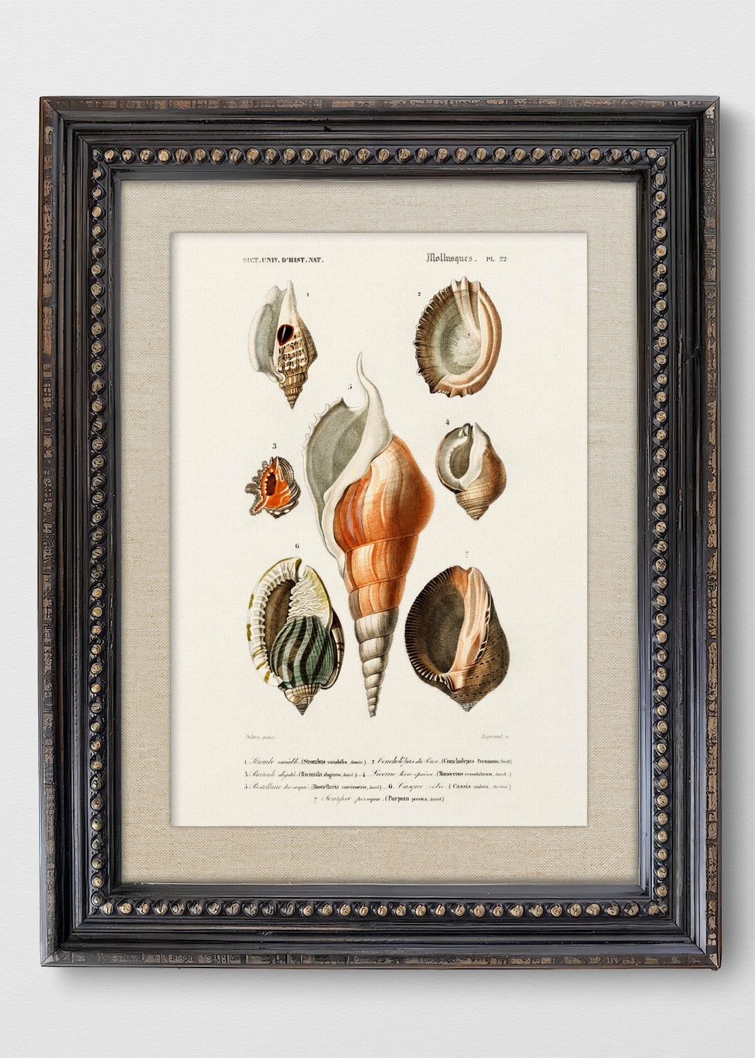 VINTAGE PERLAS LINO CRUDO