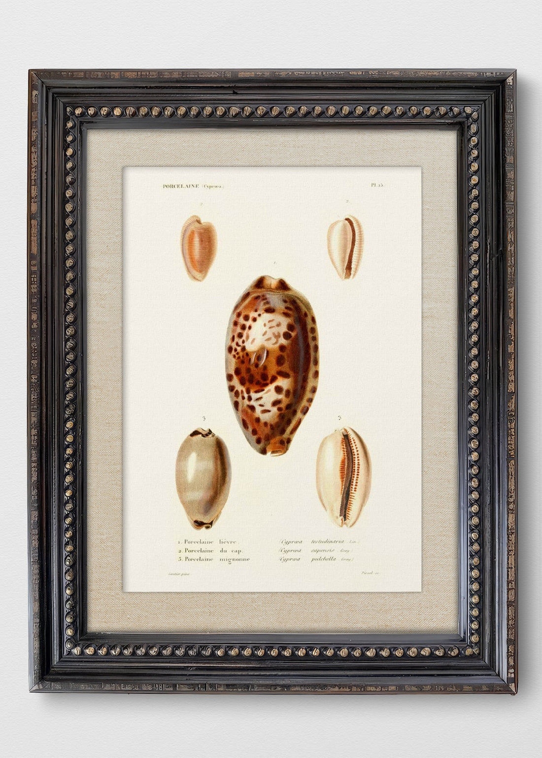 VINTAGE PERLAS LINO CRUDO