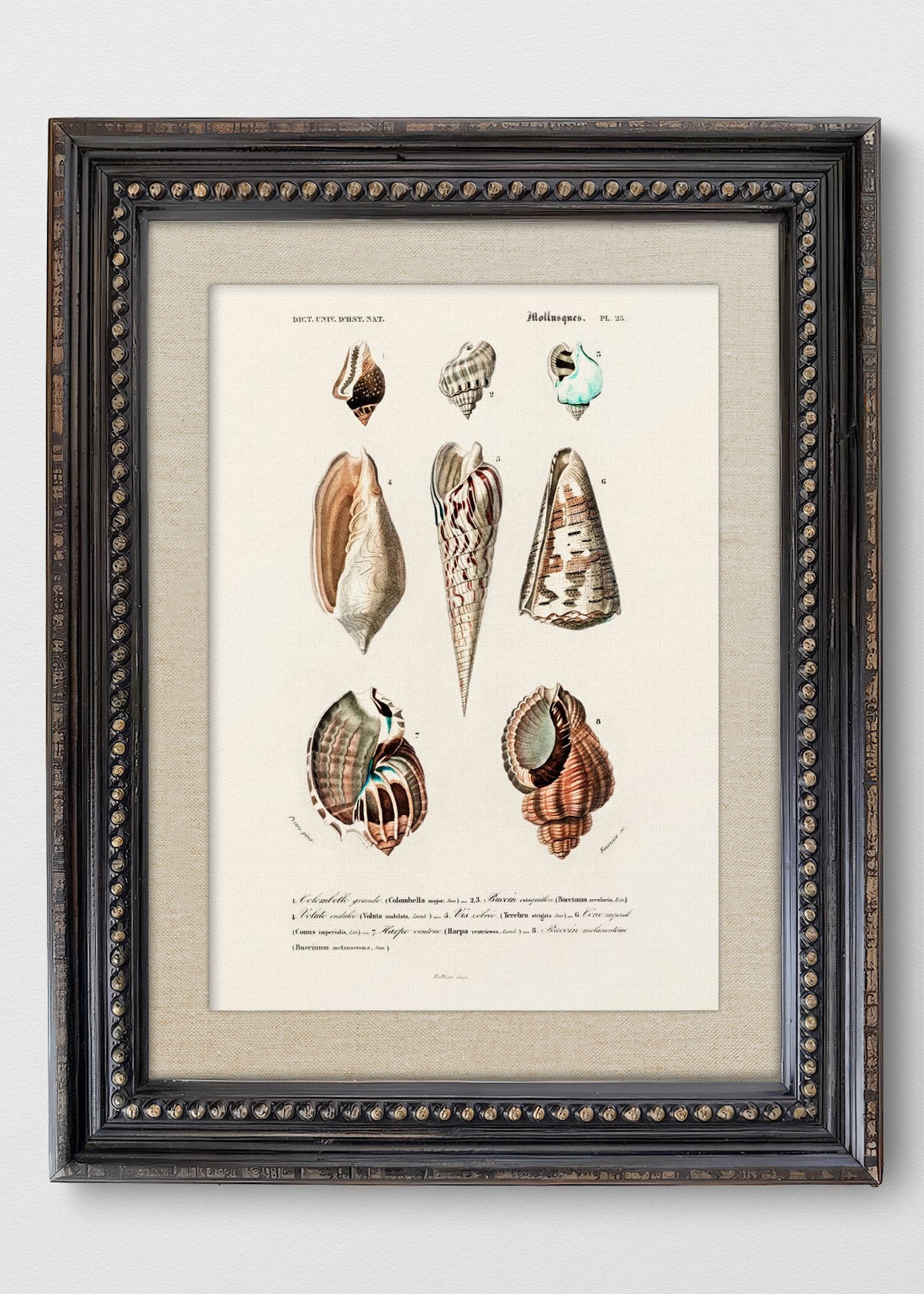 VINTAGE PERLAS LINO CRUDO