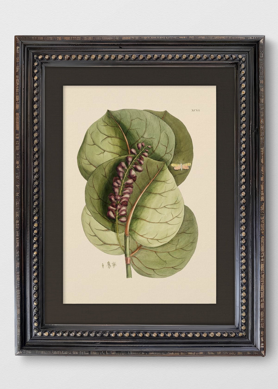 VINTAGE PERLAS LINO NEGRO