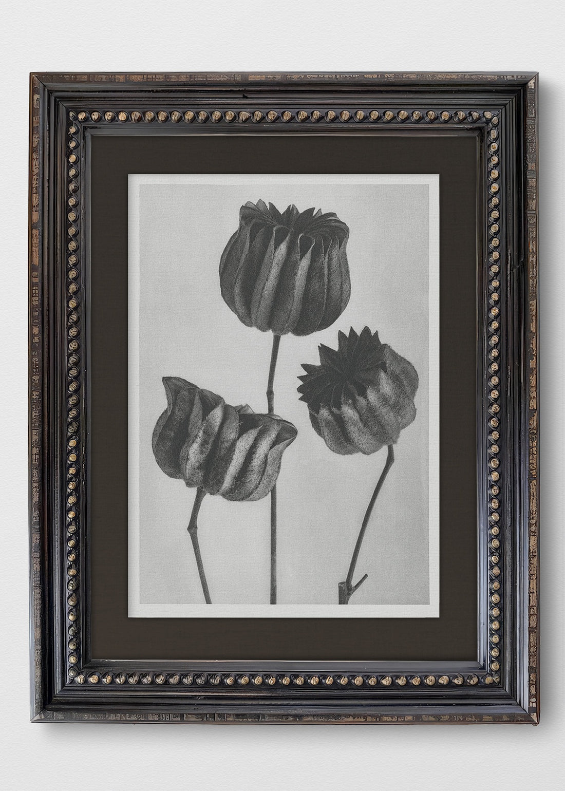 VINTAGE PERLAS LINO NEGRO