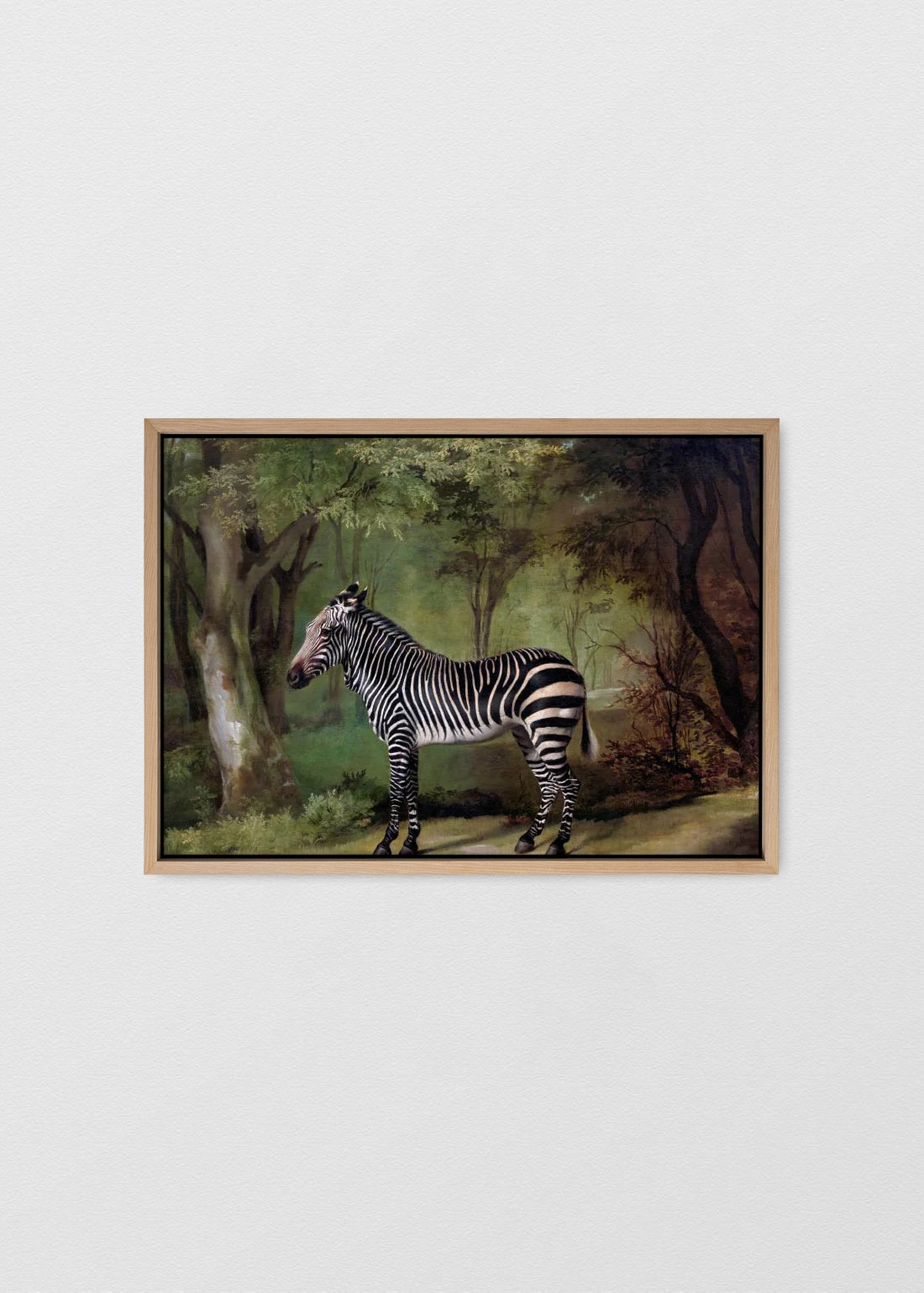 Cuadro canvas zebra foresta - CAJA ESPACIADA MAÑÍO NATURAL