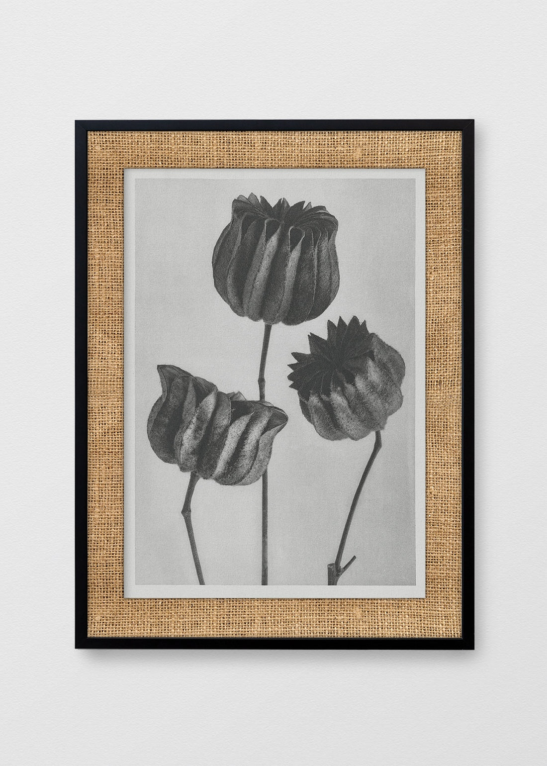 NEGRO ARPILLERA