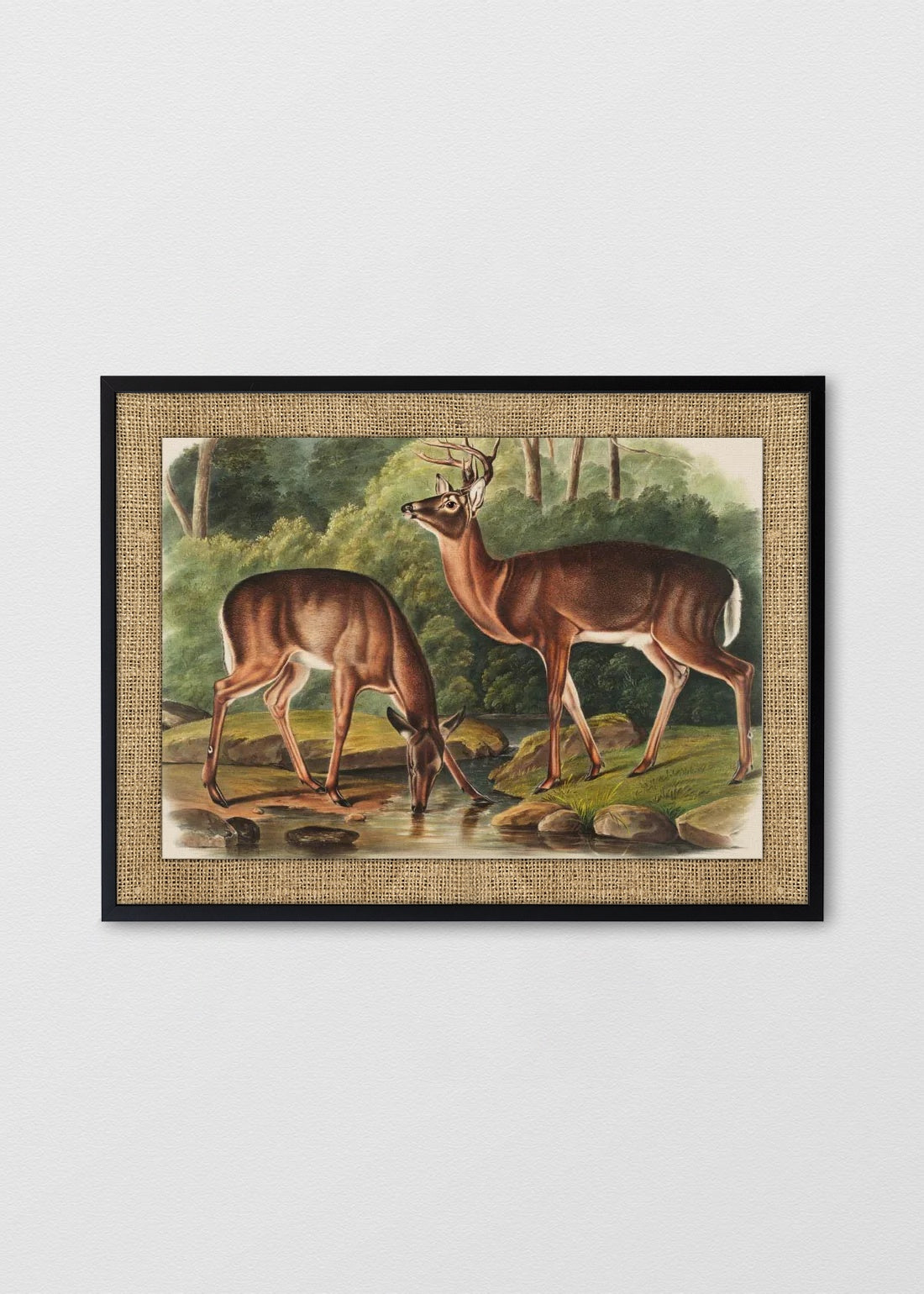 NEGRO ARPILLERA