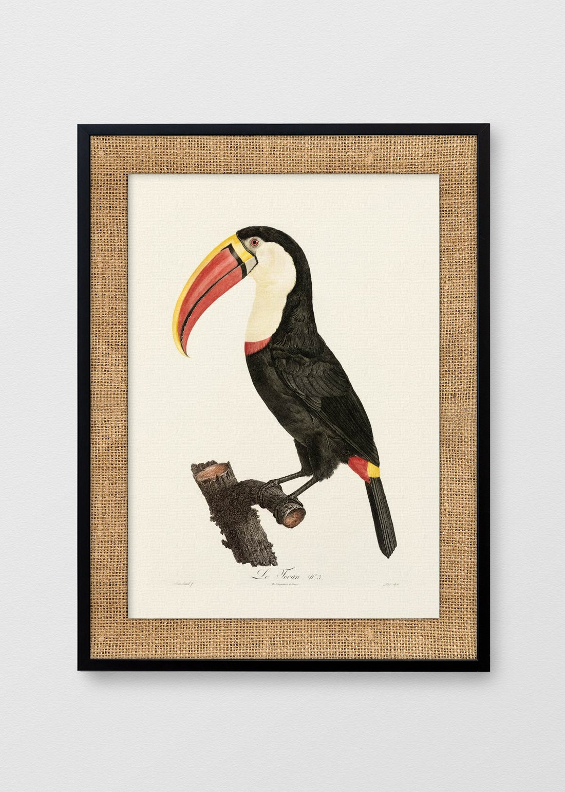 NEGRO ARPILLERA