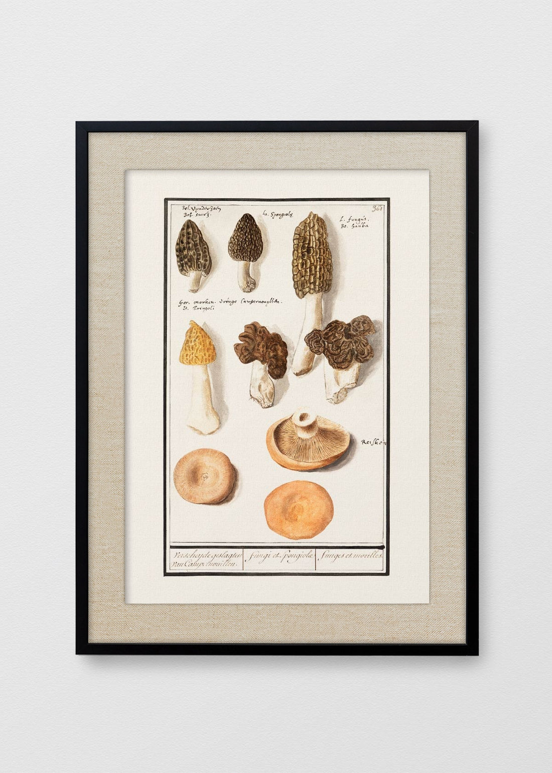 NEGRO LINO CRUDO