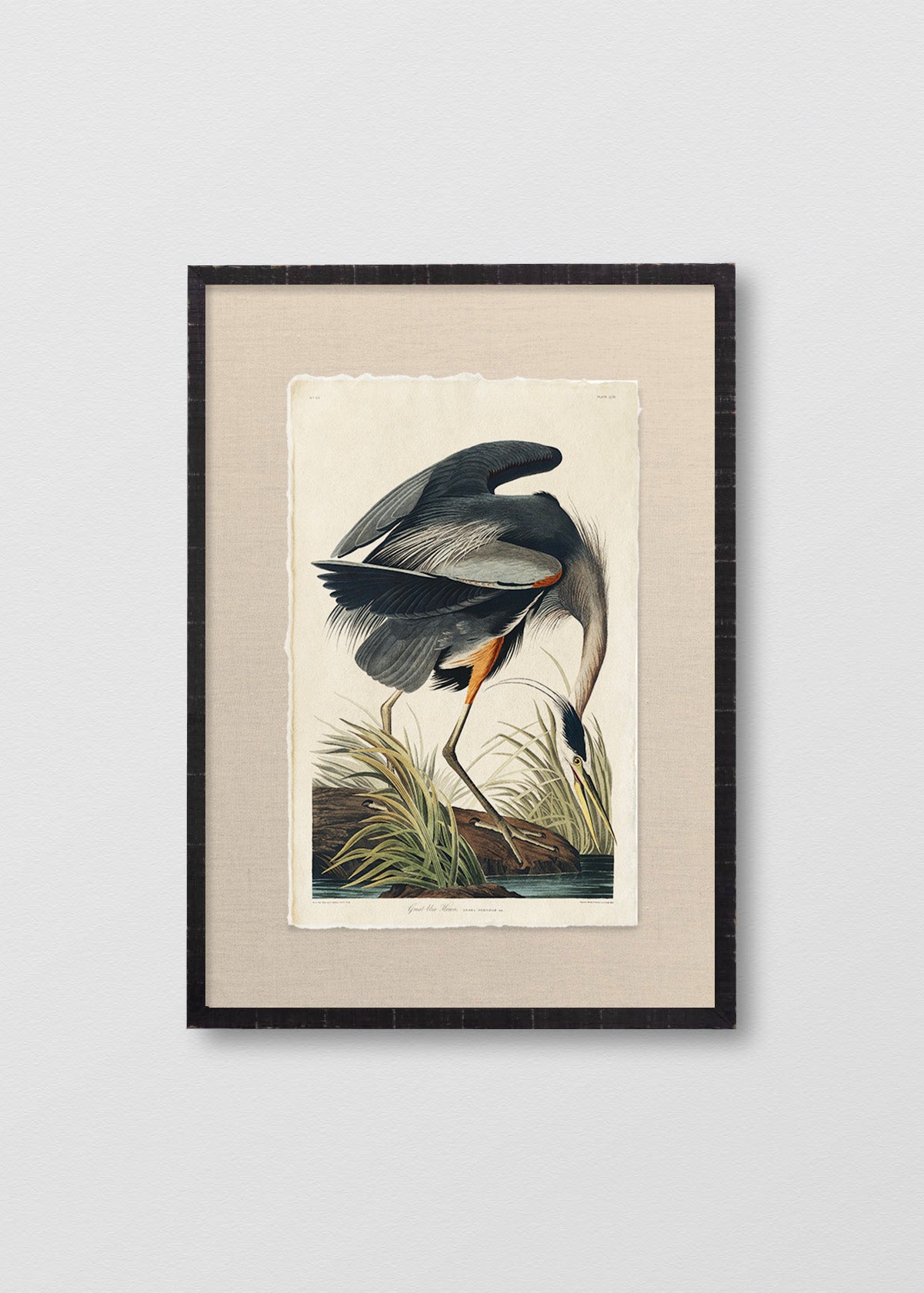 Cuadro Papiro Gran Garza Azul