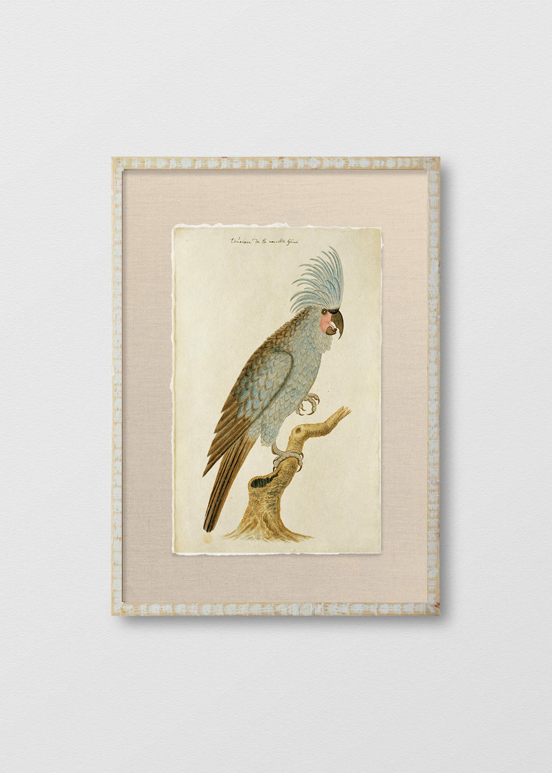 Cuadro Papiro Antique Bird III