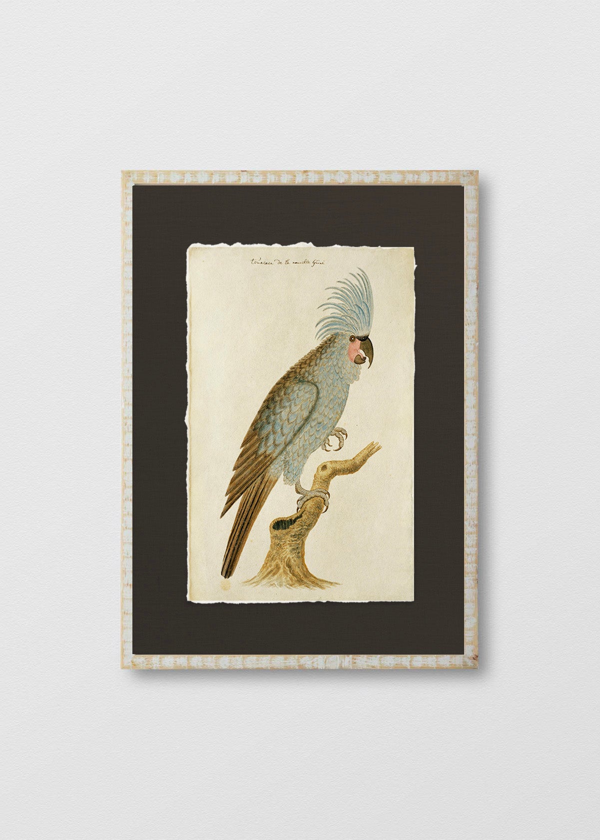 Cuadro Papiro Antique Bird III