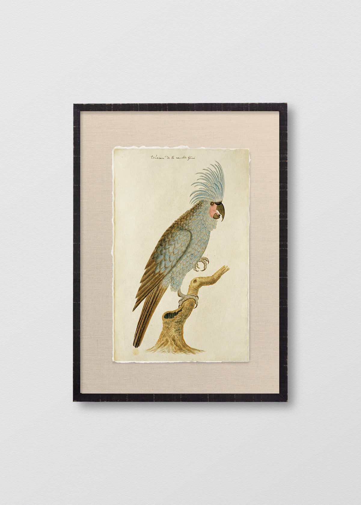 Cuadro Papiro Antique Bird III