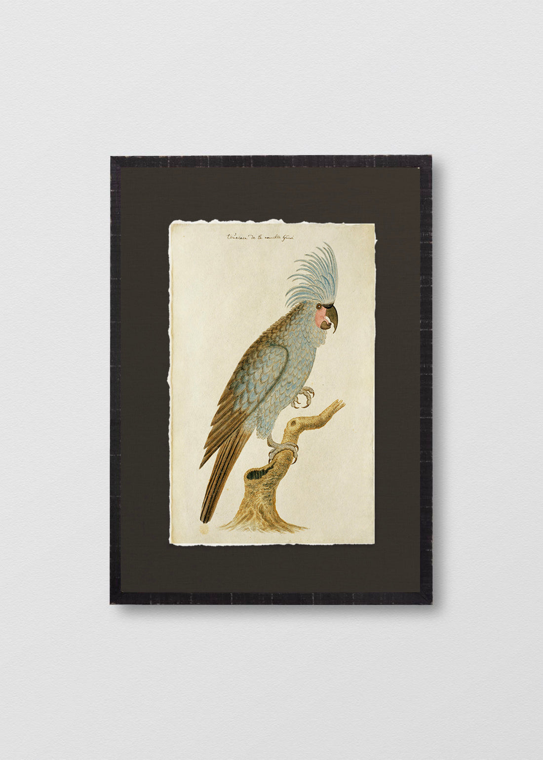 Cuadro Papiro Antique Bird III