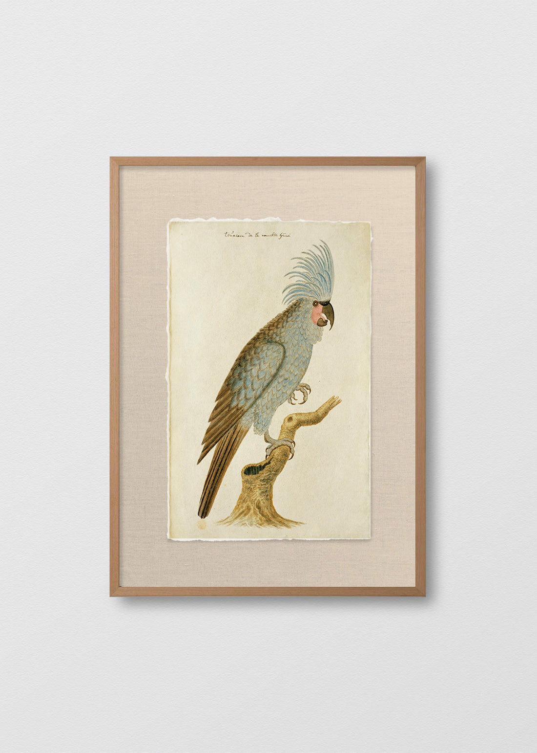 Cuadro Papiro Antique Bird III