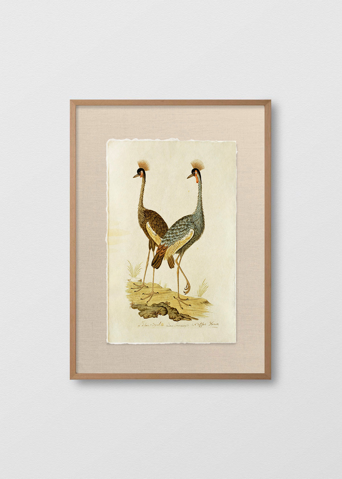 Cuadro Papiro Antique Bird IV