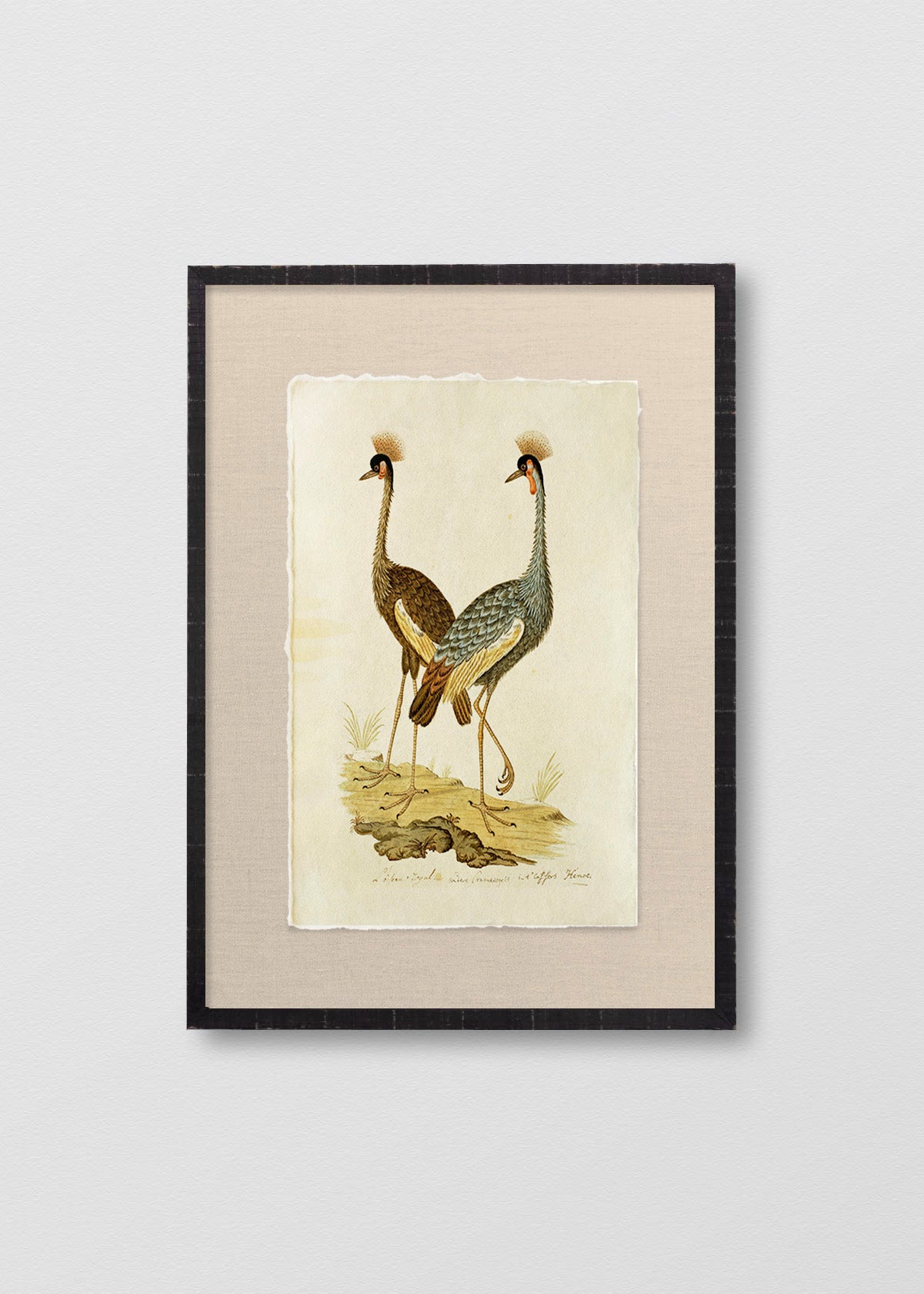 Cuadro Papiro Antique Bird IV