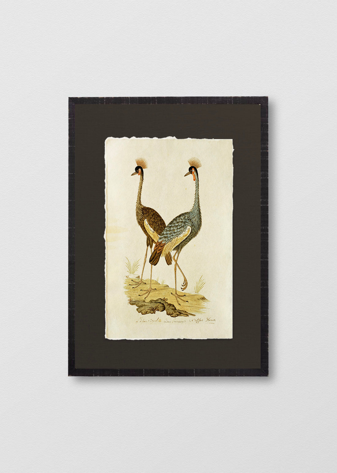 Cuadro Papiro Antique Bird IV