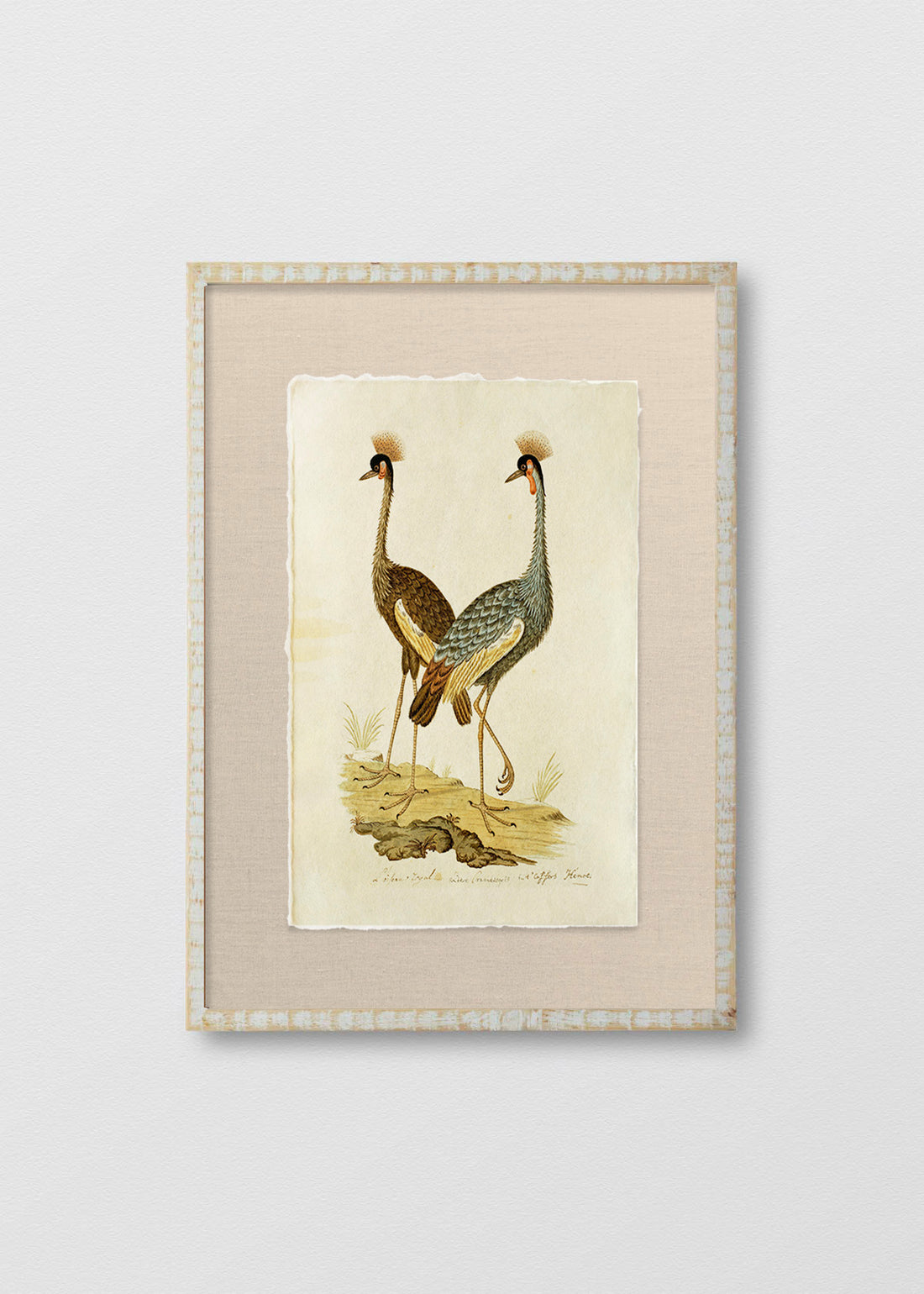 Cuadro Papiro Antique Bird IV