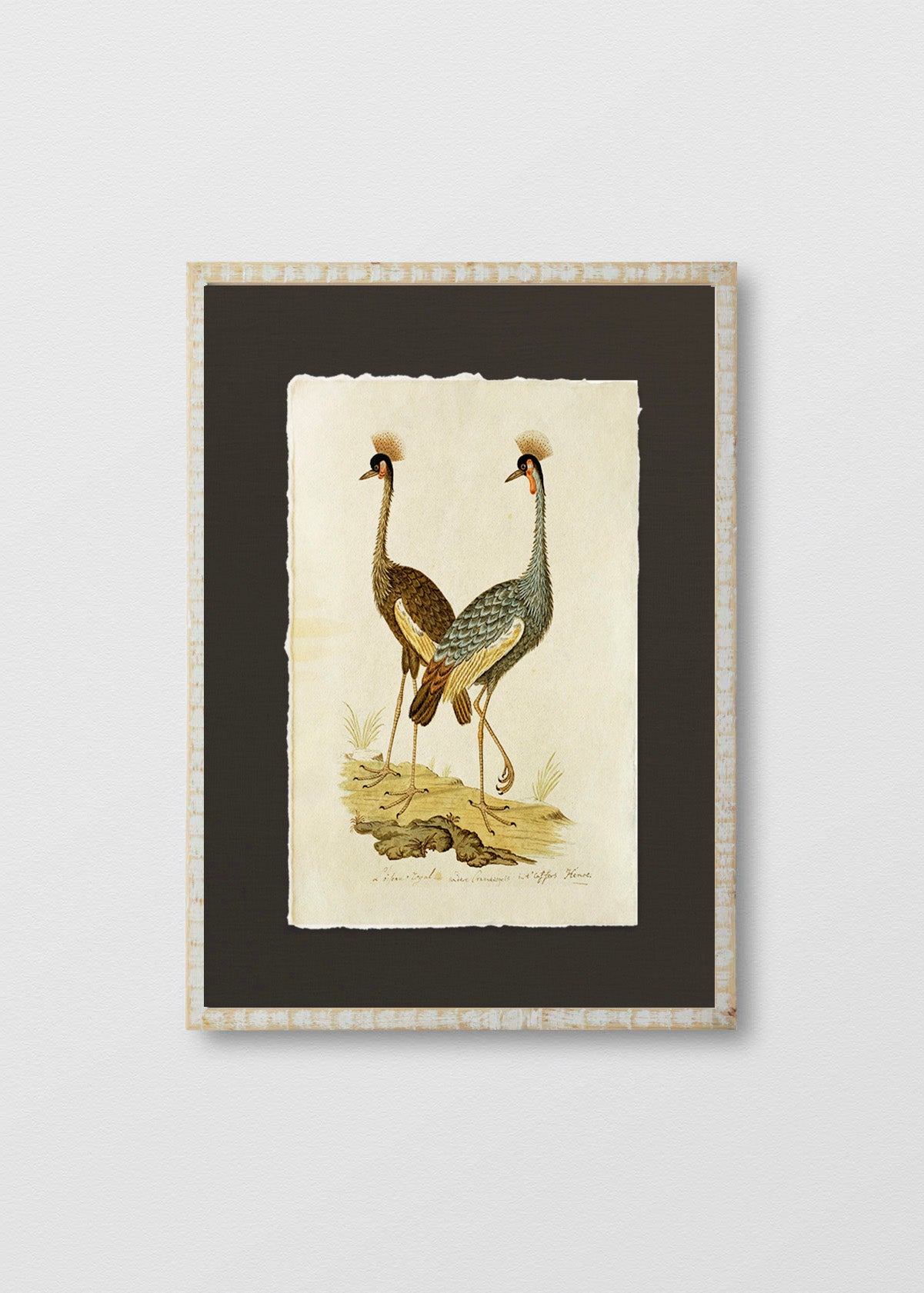 Cuadro Papiro Antique Bird IV