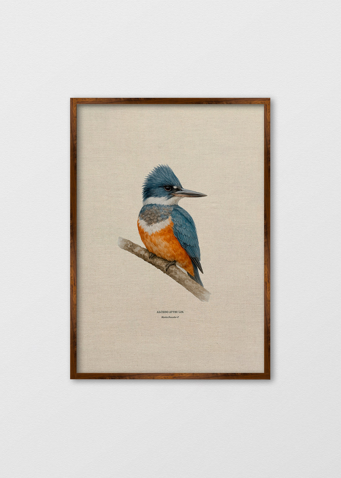 Cuadro lino Pájaro Martin Pescador - REBAJAS