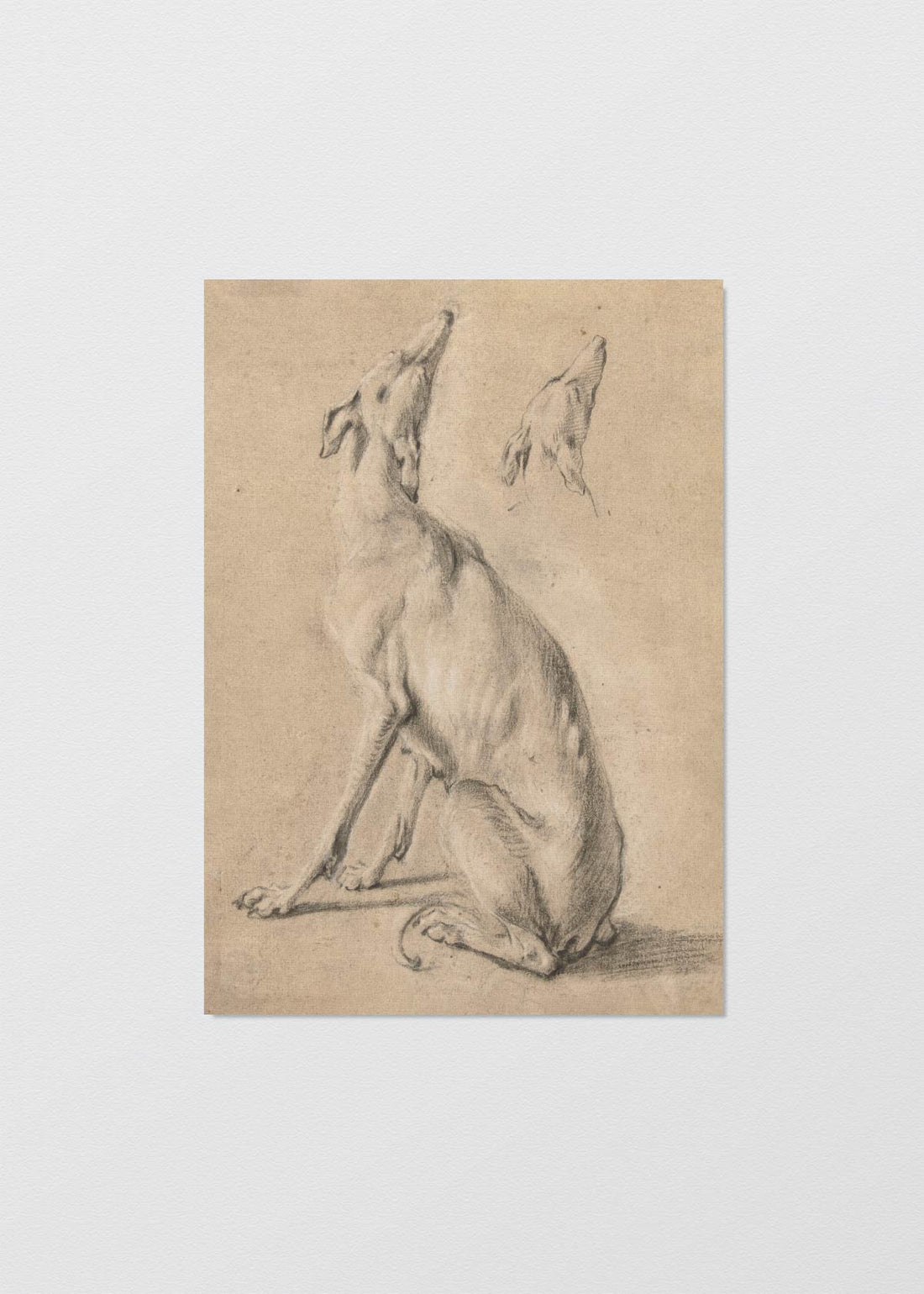 Cuadro Papel Algodón dibujo galgo - REBAJAS