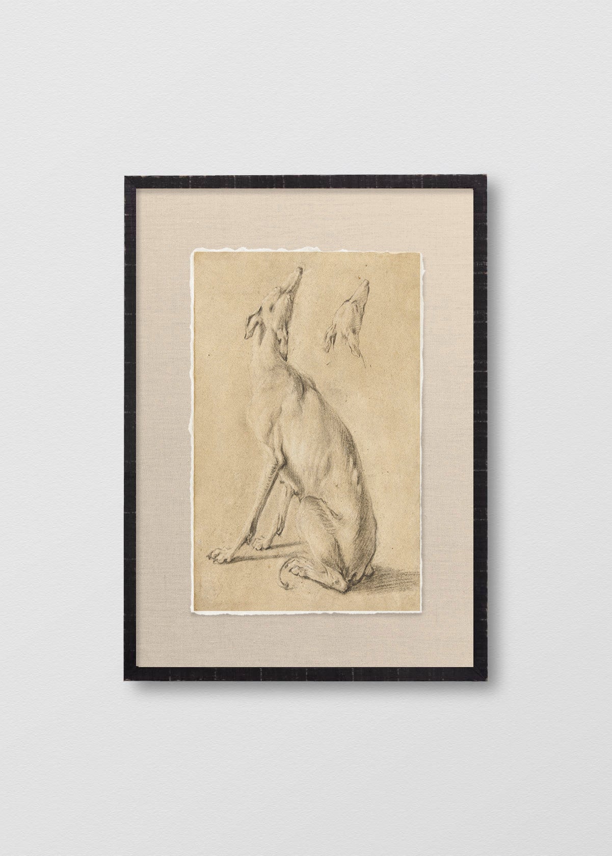 Cuadro Papiro Dibujo Galgo