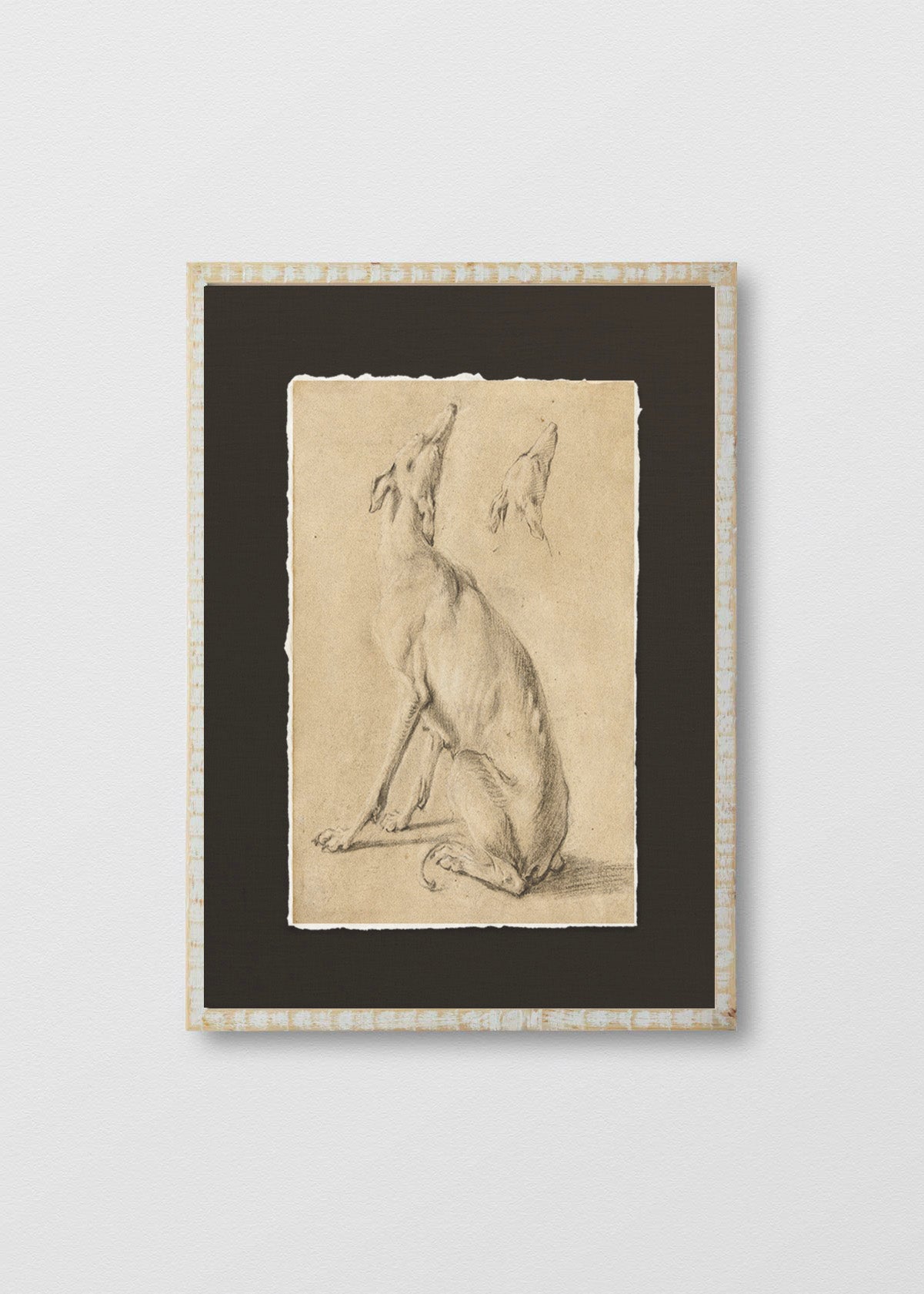 Cuadro Papiro Dibujo Galgo