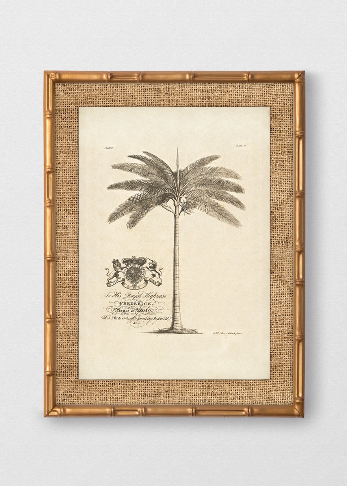 BAMBÚ DORADO ANTIGUO ARPILLERA