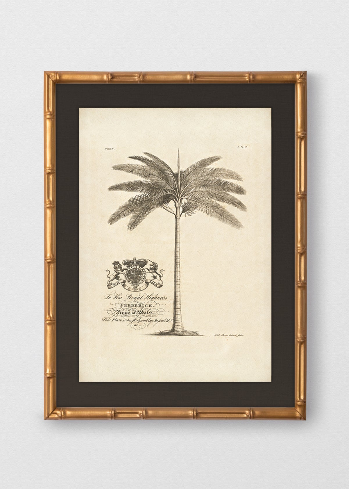 BAMBÚ DORADO ANTIGUO LINO NEGRO