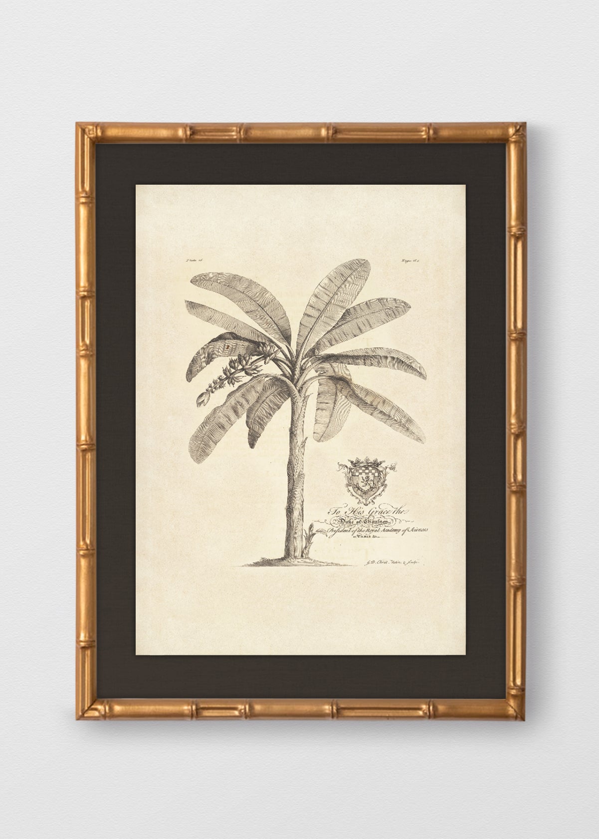 BAMBÚ DORADO ANTIGUO LINO NEGRO