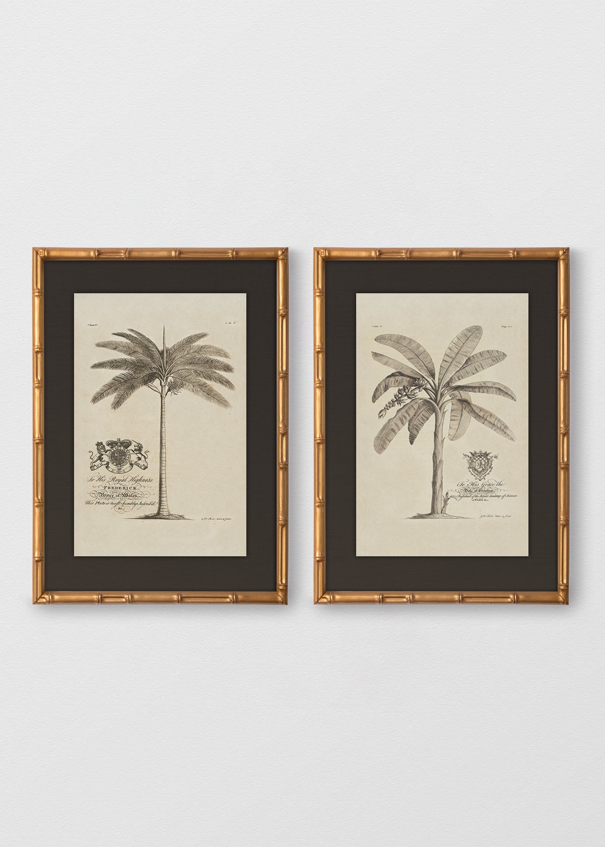 BAMBÚ DORADO ANTIGUO LINO NEGRO
