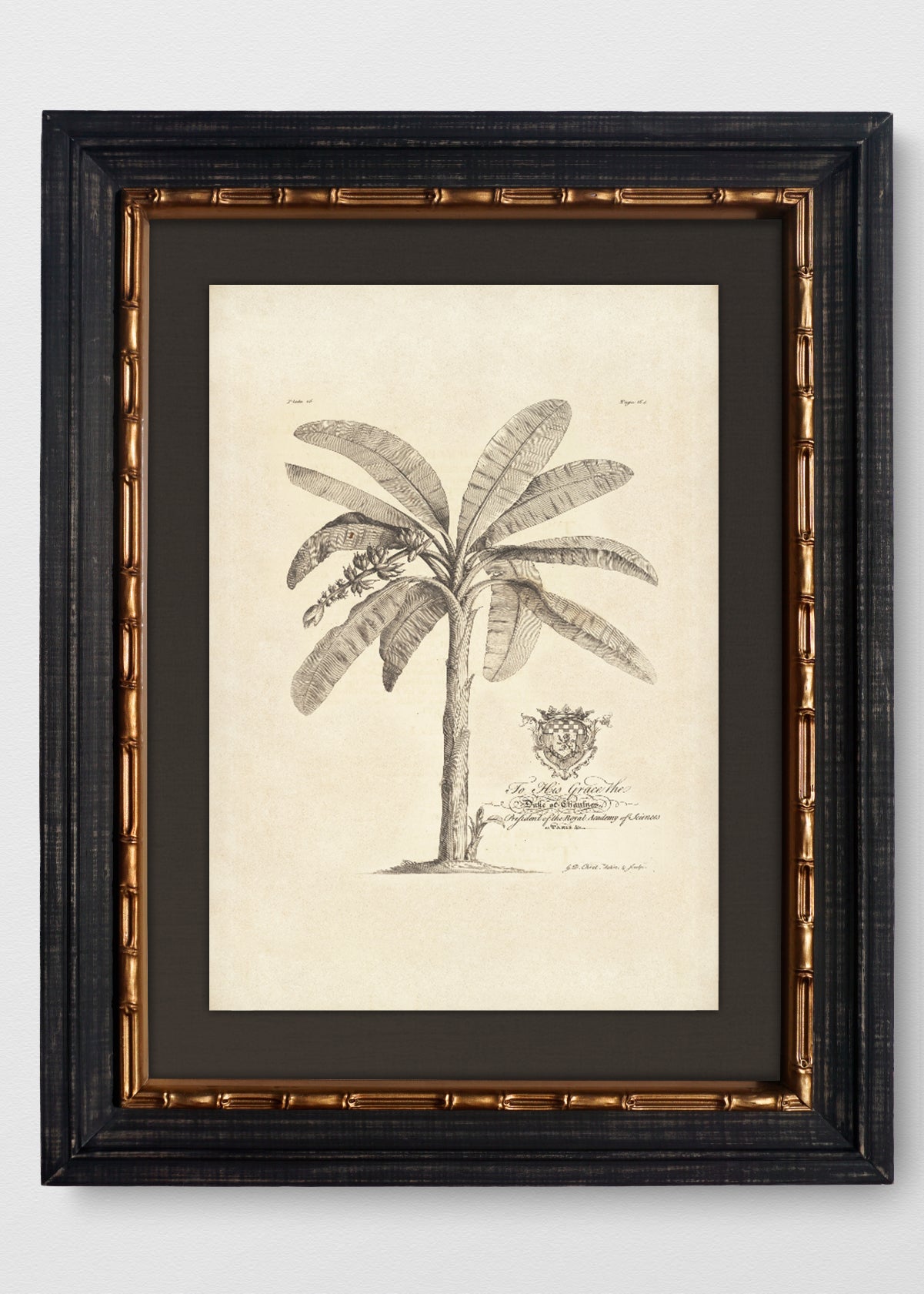 VINTAGE BAMBÚ IMPERIAL LINO NEGRO