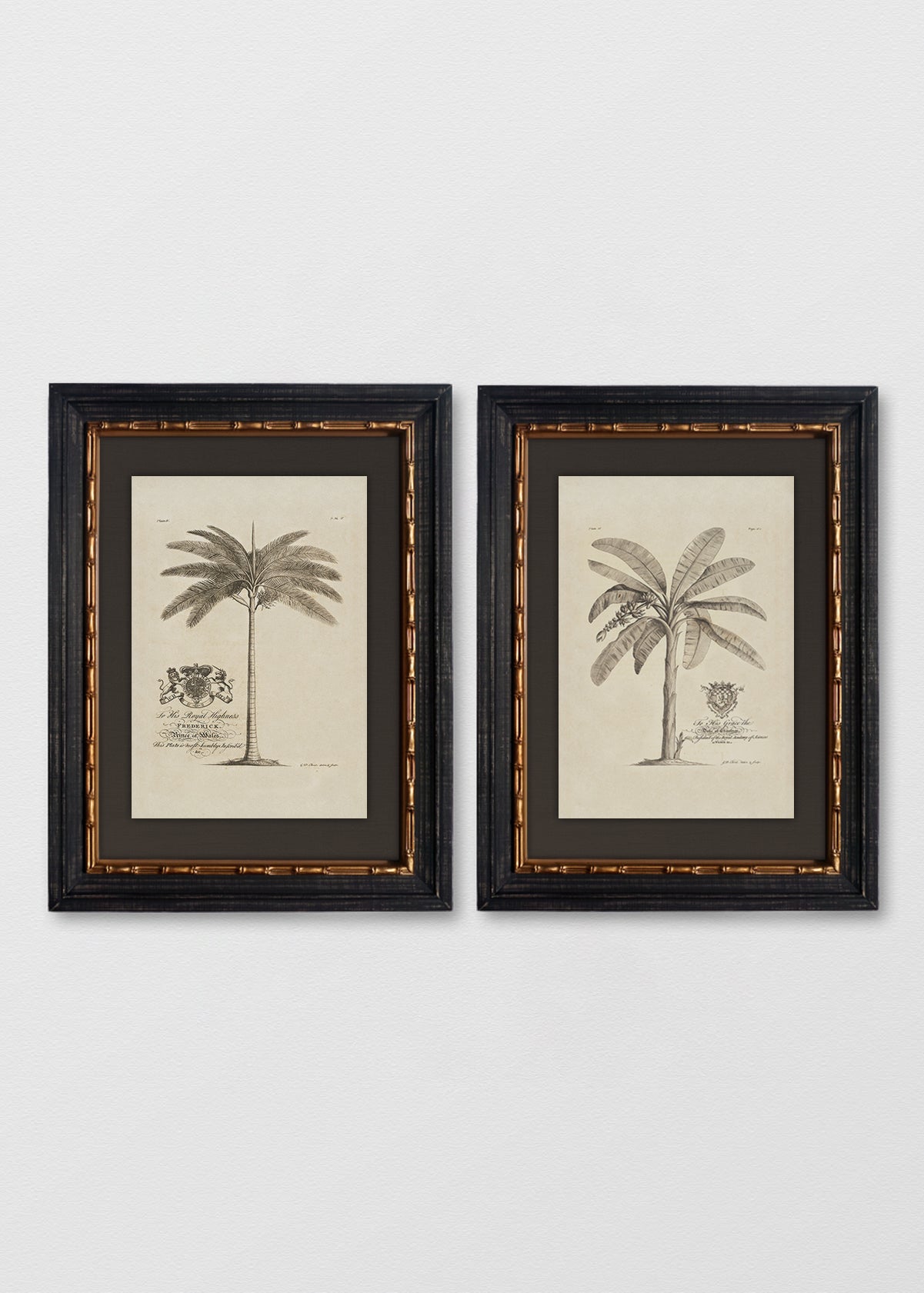 VINTAGE BAMBÚ IMPERIAL LINO NEGRO