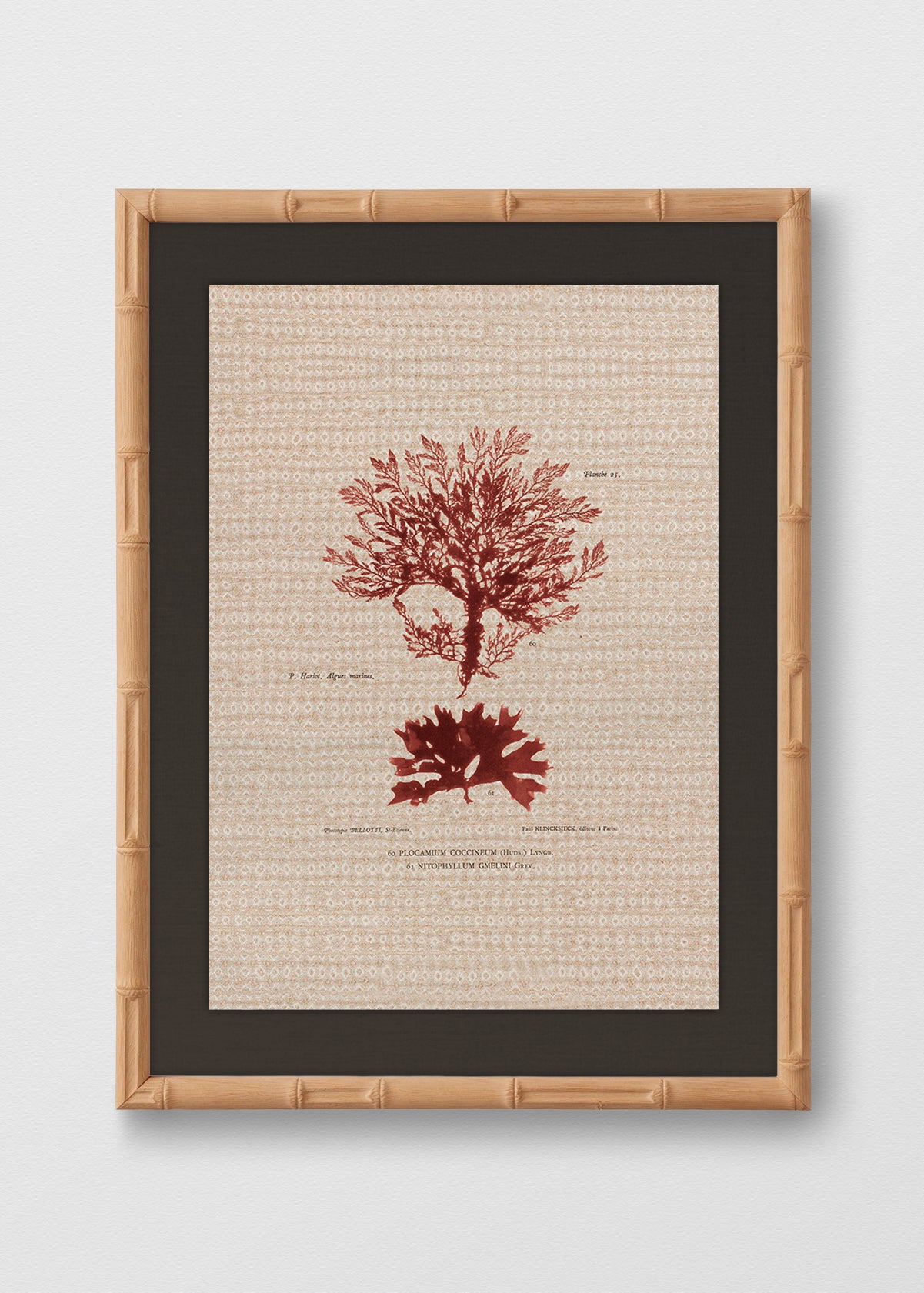 BAMBÚ NATURAL LINO NEGRO