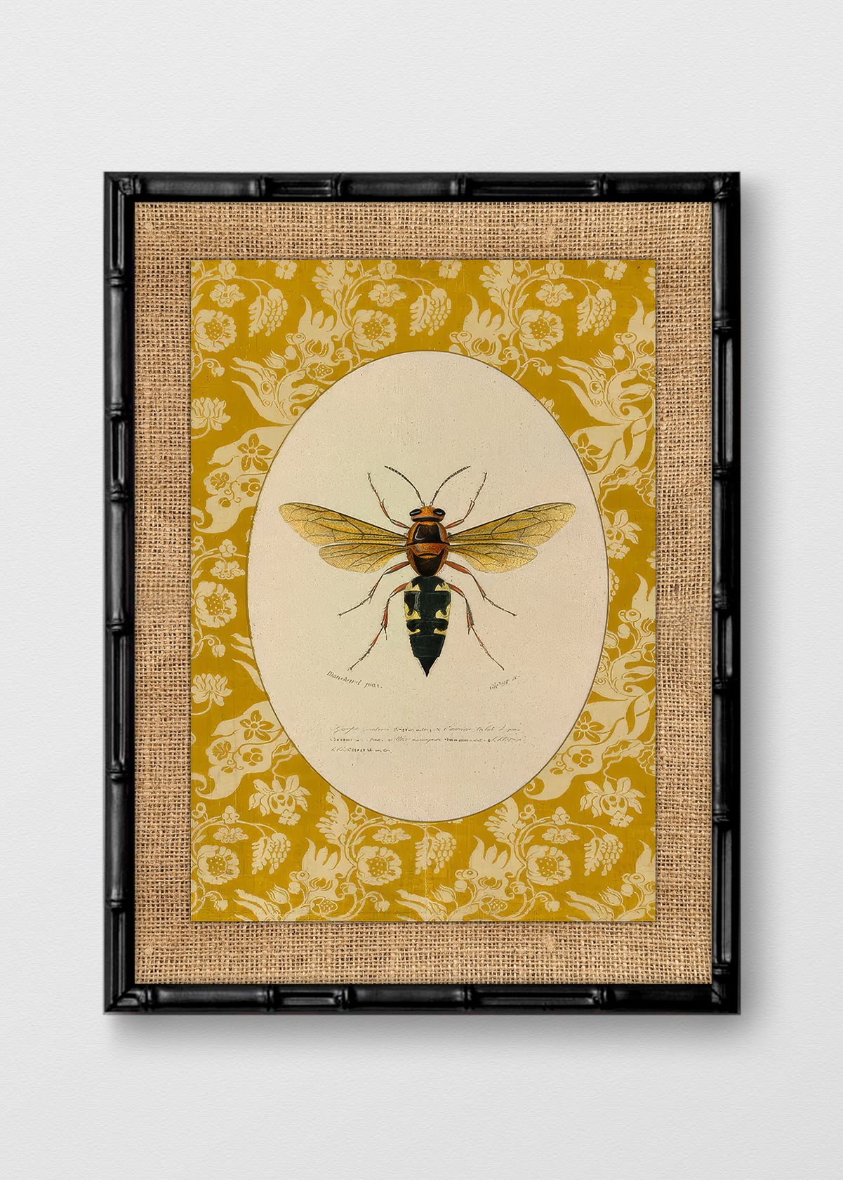 BAMBÚ NEGRO ARPILLERA