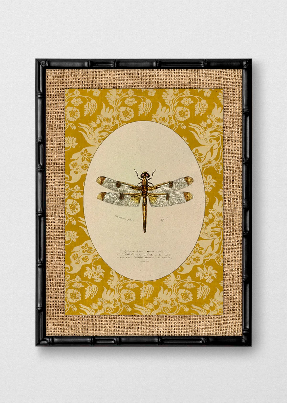 BAMBÚ NEGRO ARPILLERA