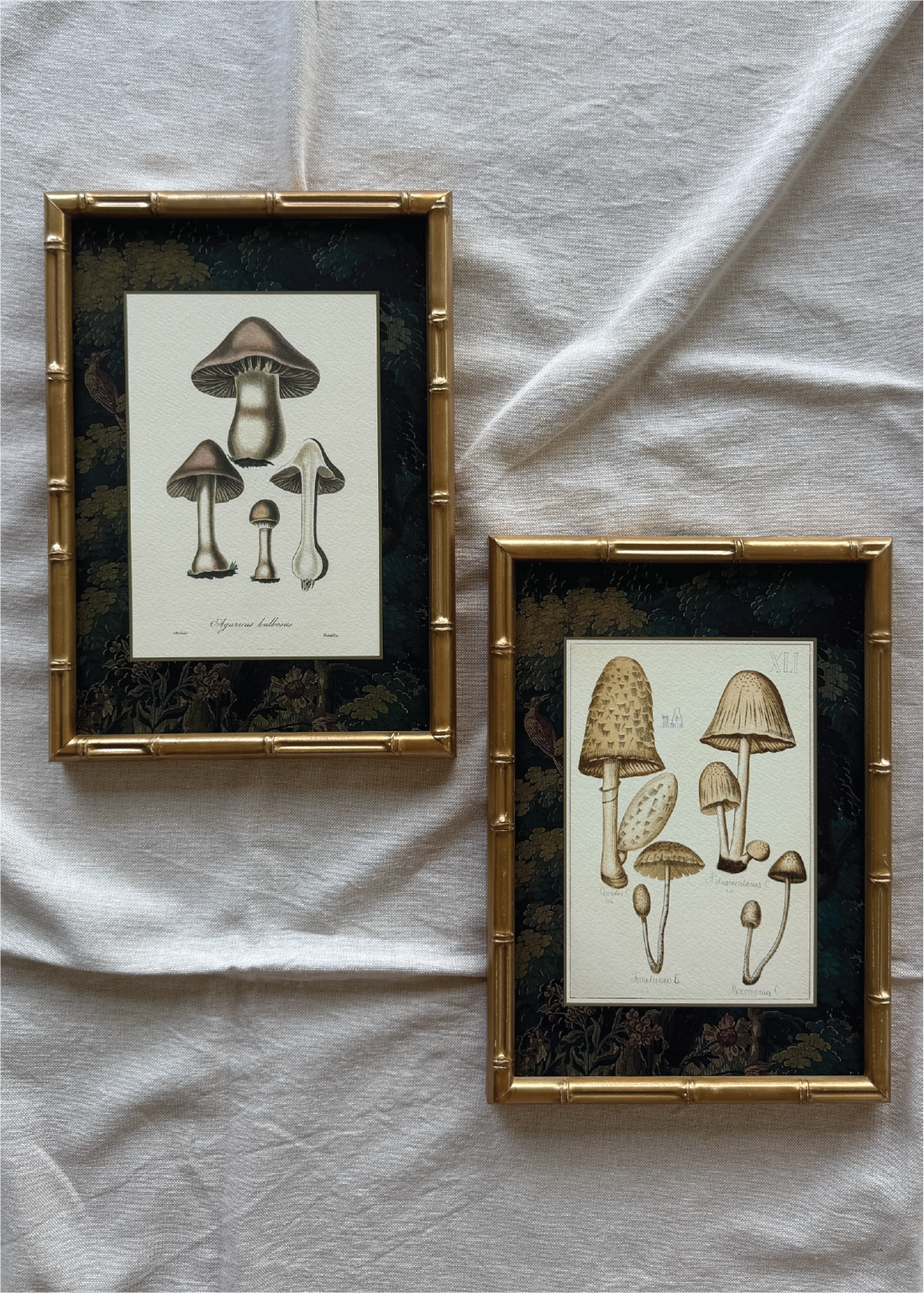 Navidad - Set Cuadros Papel Algodón Hongos Bosque y Pájaros