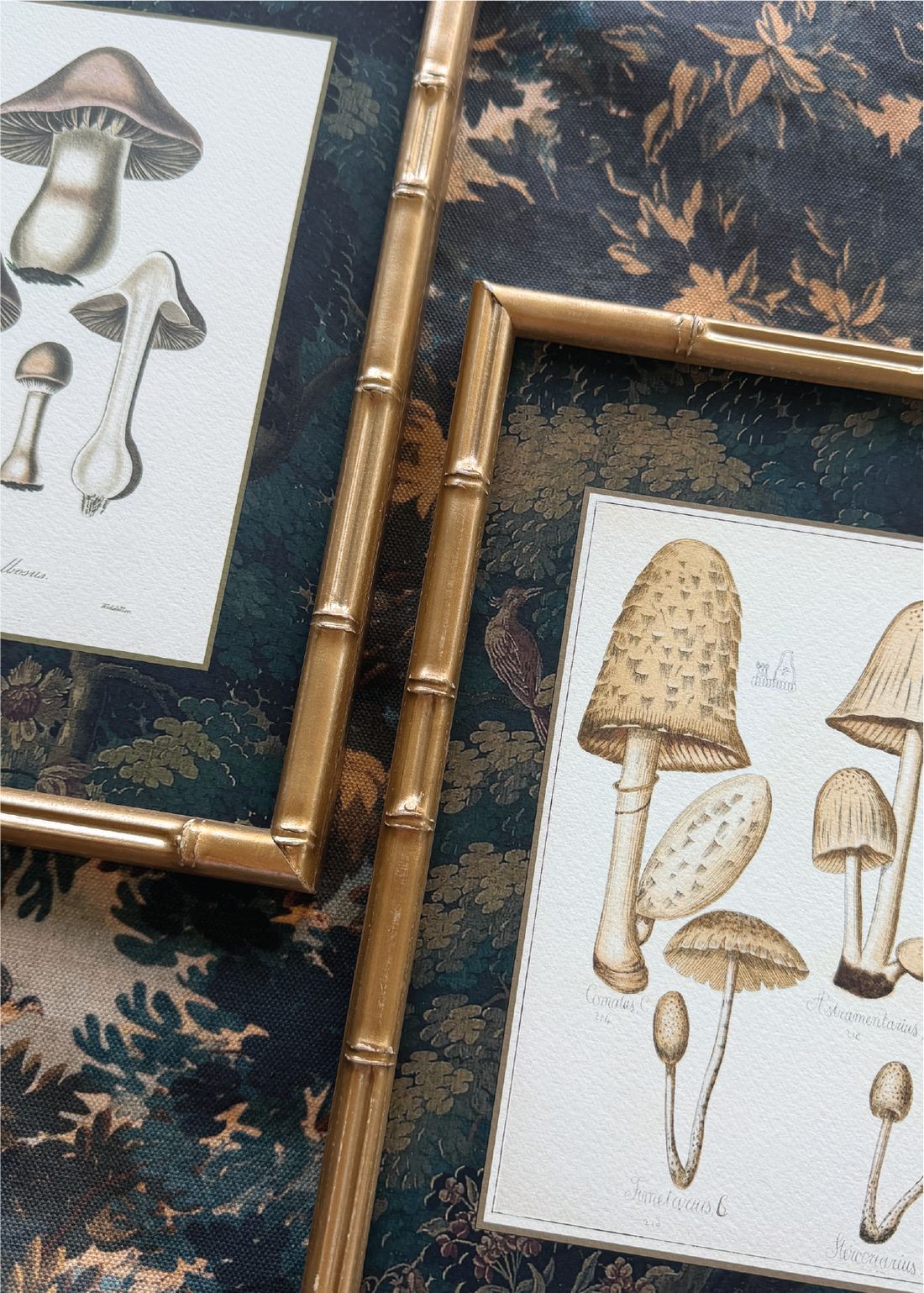 Navidad - Set Cuadros Papel Algodón Hongos Bosque y Pájaros