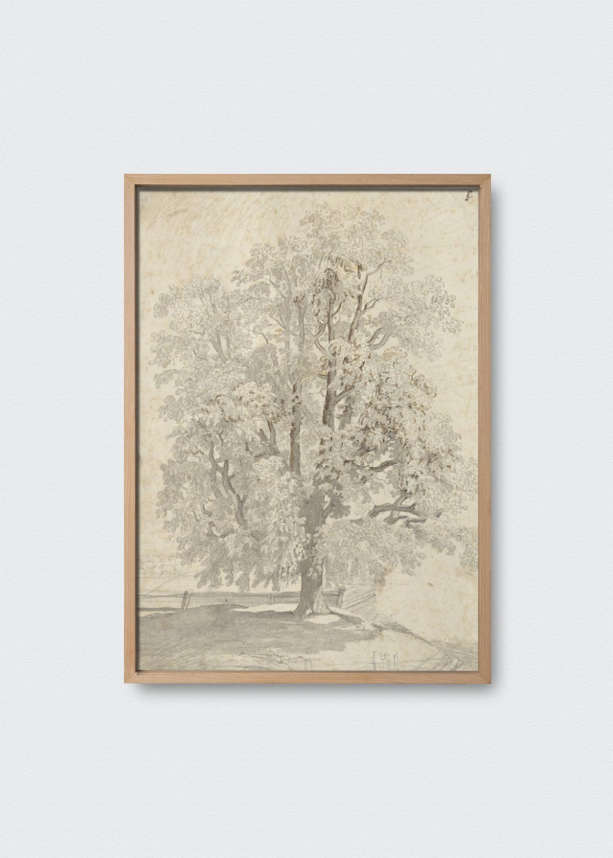 Cuadro Papel algodón Dibujo el árbol