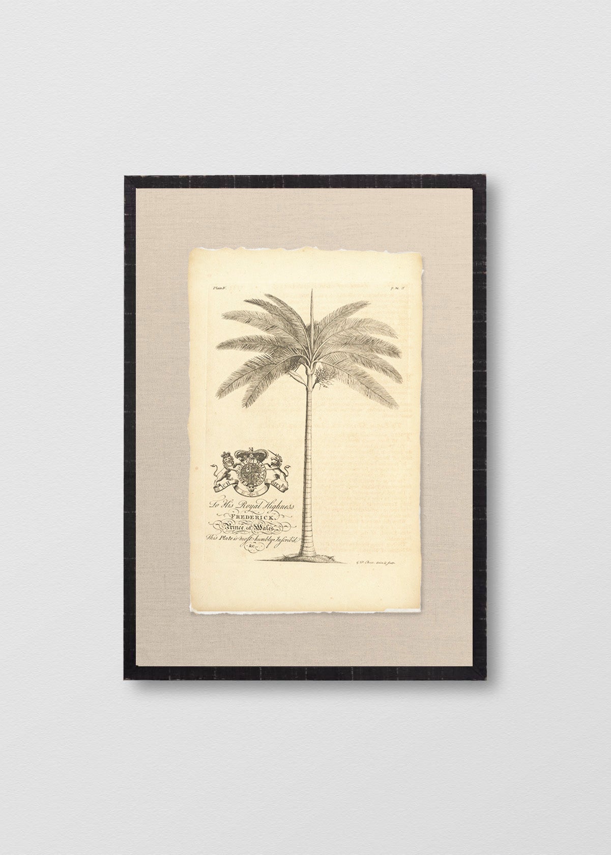 Cuadro Papiro Palmera Antigua I