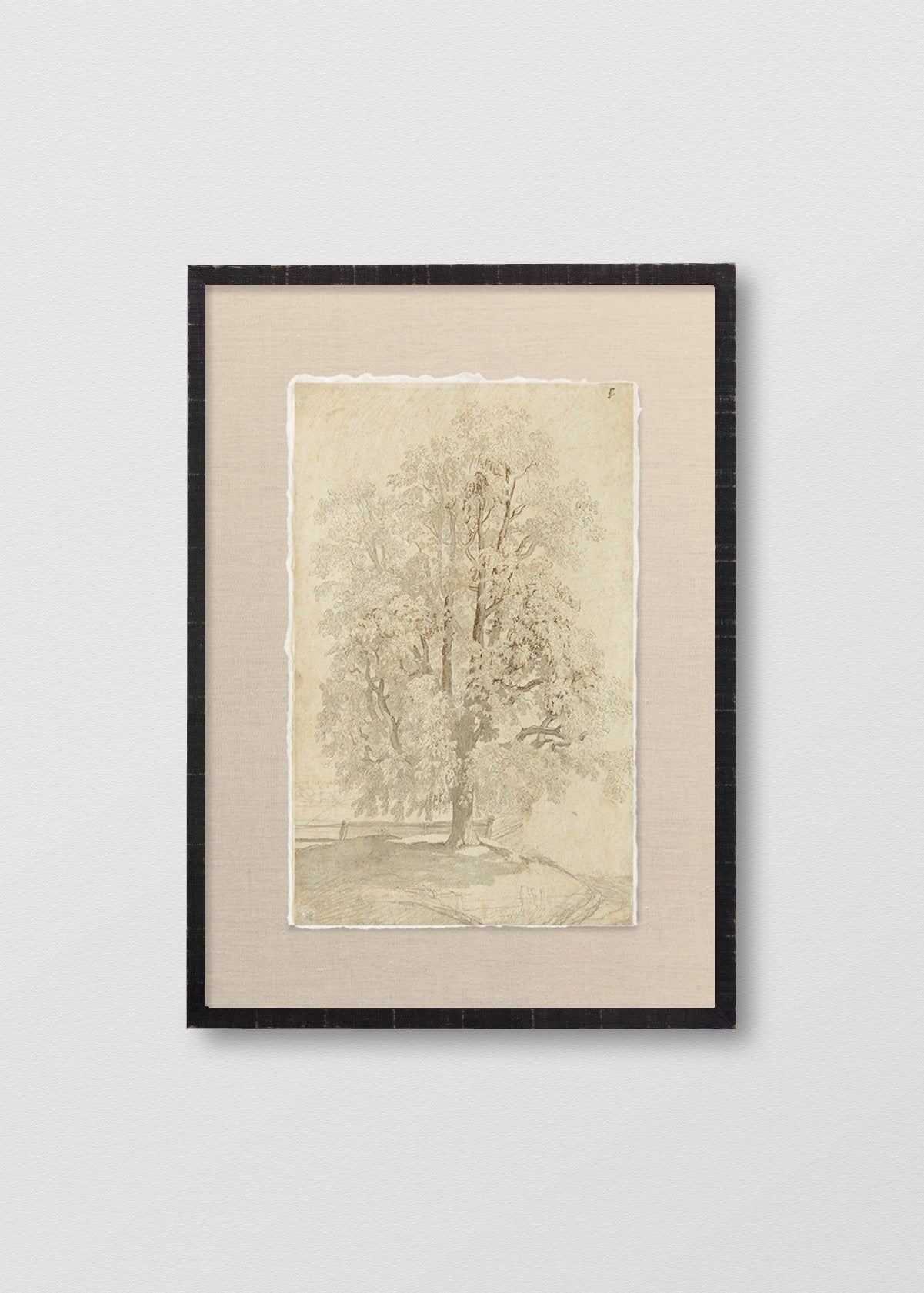 Cuadro Papiro Dibujo El Árbol